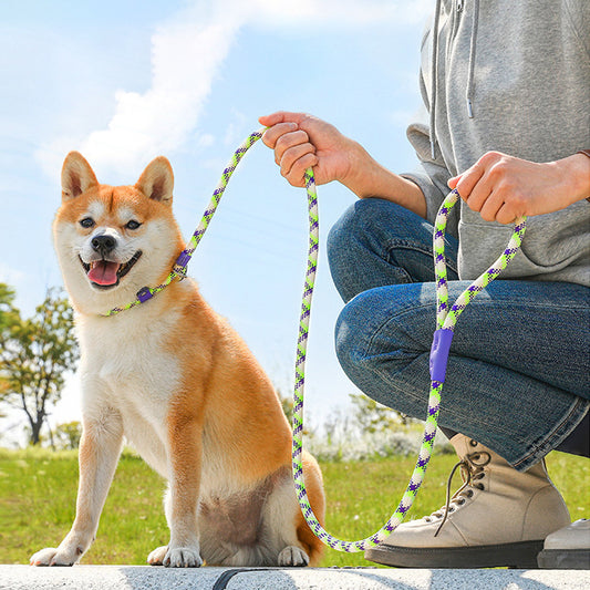 Dog Rope Slip Leash