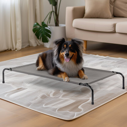 SMALL Raised Pet Bed/Cot