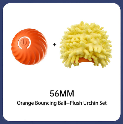 Interactive Bouncing Ball For Dogs
