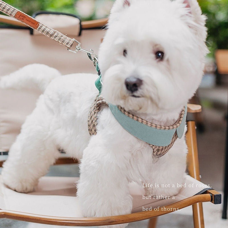 Plaid, Collared Harness & Leash Set (XXS-L)