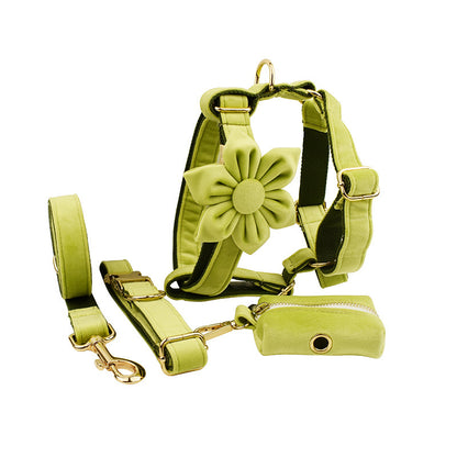 Velvet Collection, Complete Set: Pet Collar, Harness, Leash, Waste Bag Holder, & Removable Bow + Flower