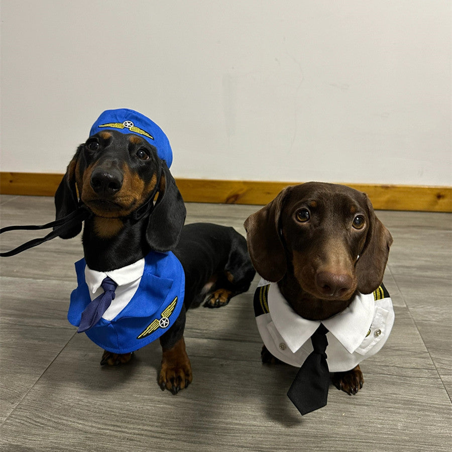 Pilot Dog Costume/ Accessories