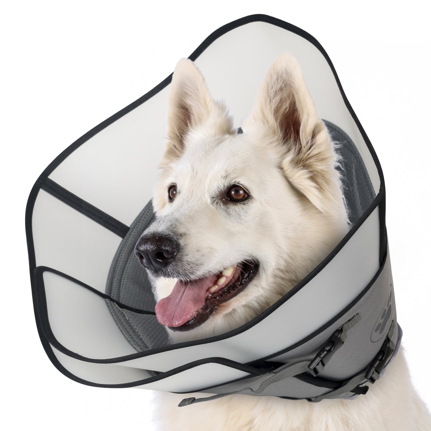 Double Layer E-Collar for Dogs
