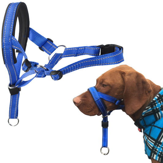 Gentle Leader-Training Harness