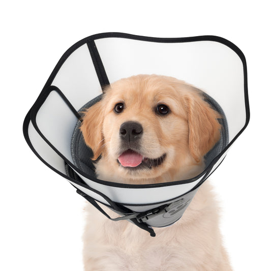 Double Layer E-Collar for Dogs