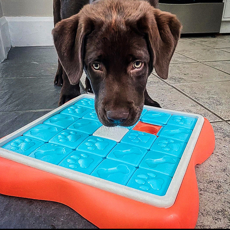 Hidden Food, Animal Enrichment Toy